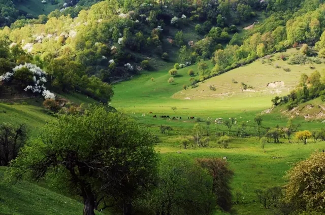 亿万先生mr·(中国区)官方网站