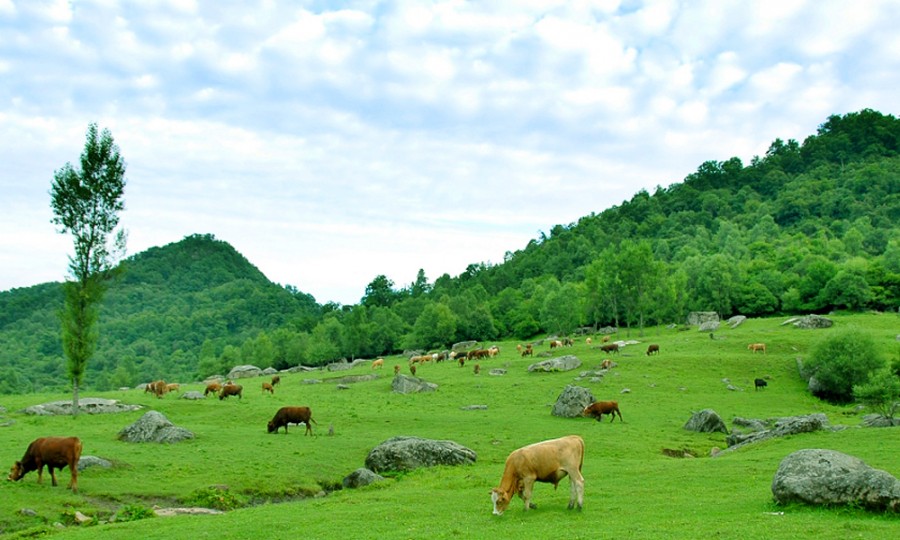 亿万先生mr·(中国区)官方网站