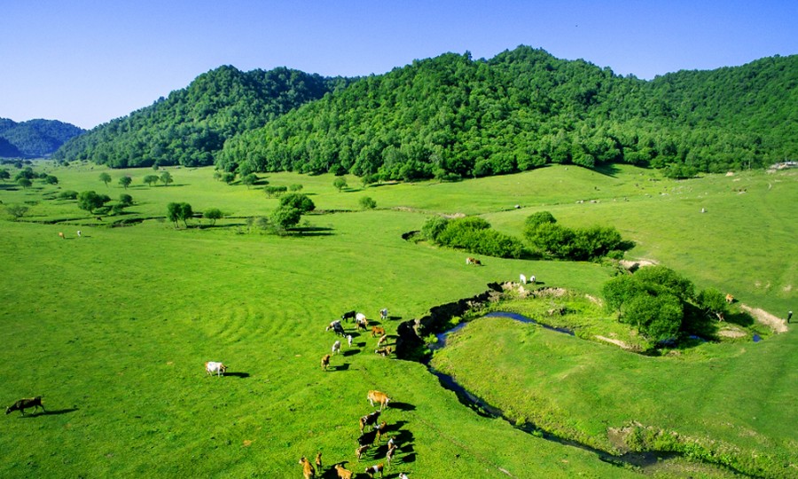 亿万先生mr·(中国区)官方网站