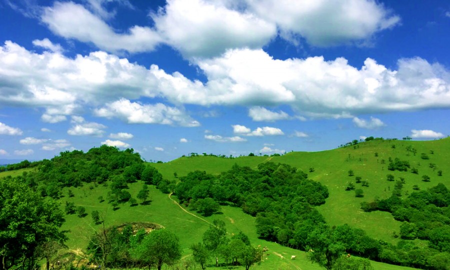 亿万先生mr·(中国区)官方网站