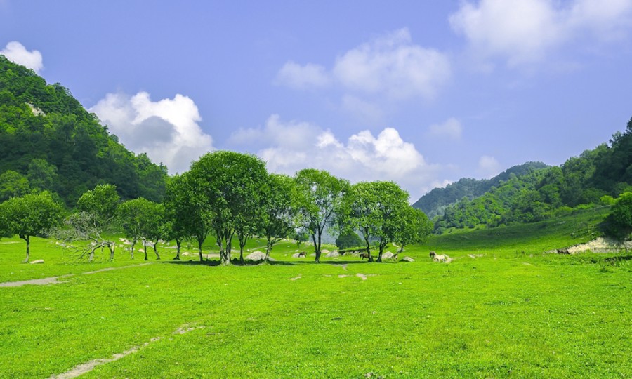 亿万先生mr·(中国区)官方网站