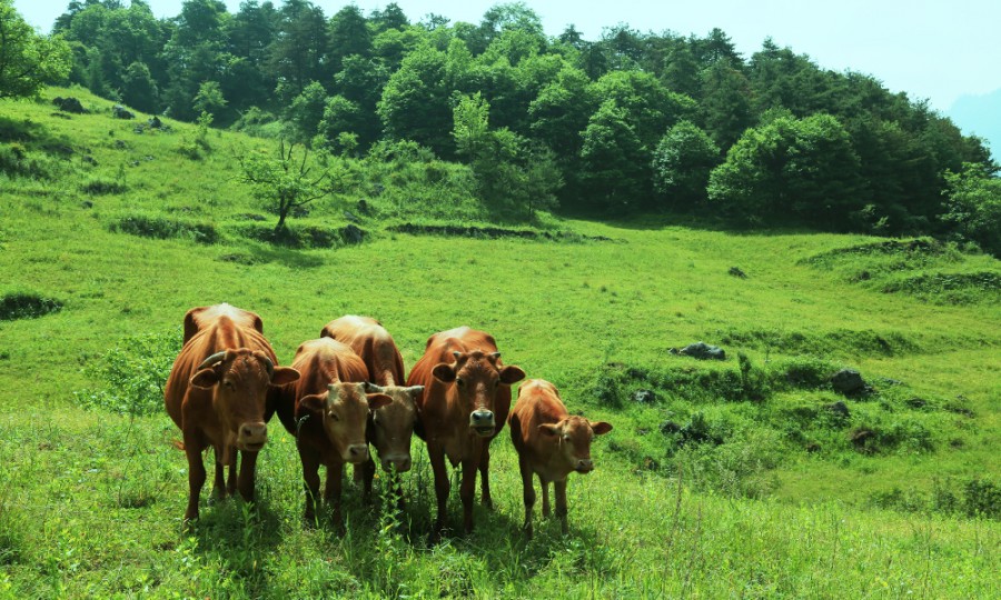 亿万先生mr·(中国区)官方网站