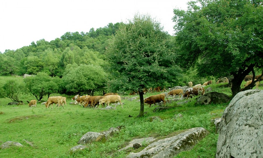 亿万先生mr·(中国区)官方网站