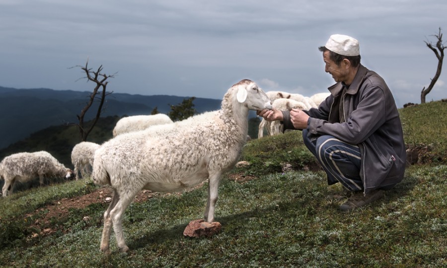 亿万先生mr·(中国区)官方网站