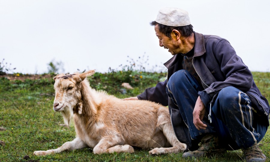 亿万先生mr·(中国区)官方网站