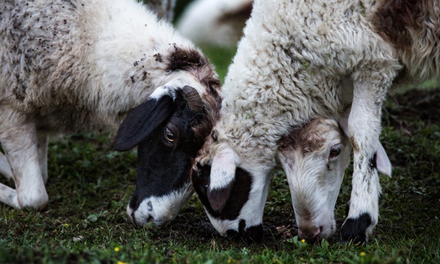 亿万先生mr·(中国区)官方网站