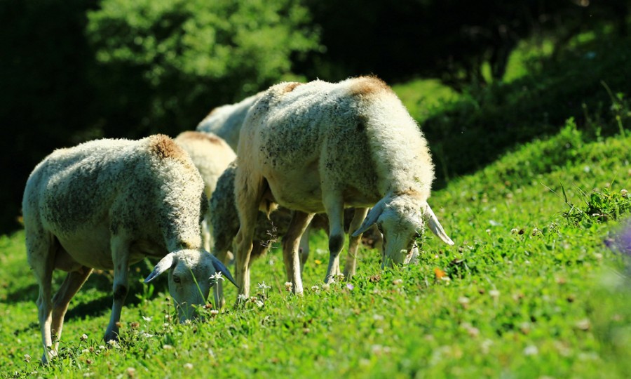 亿万先生mr·(中国区)官方网站