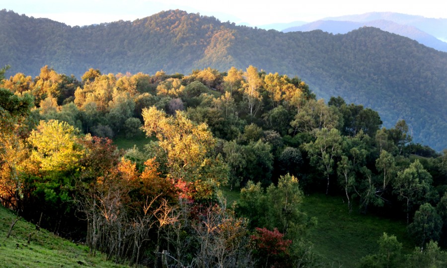 亿万先生mr·(中国区)官方网站