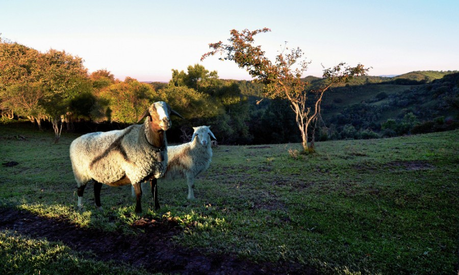 亿万先生mr·(中国区)官方网站