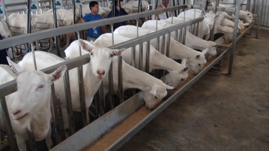 亿万先生mr·(中国区)官方网站