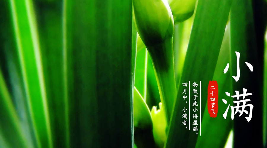 亿万先生mr·(中国区)官方网站