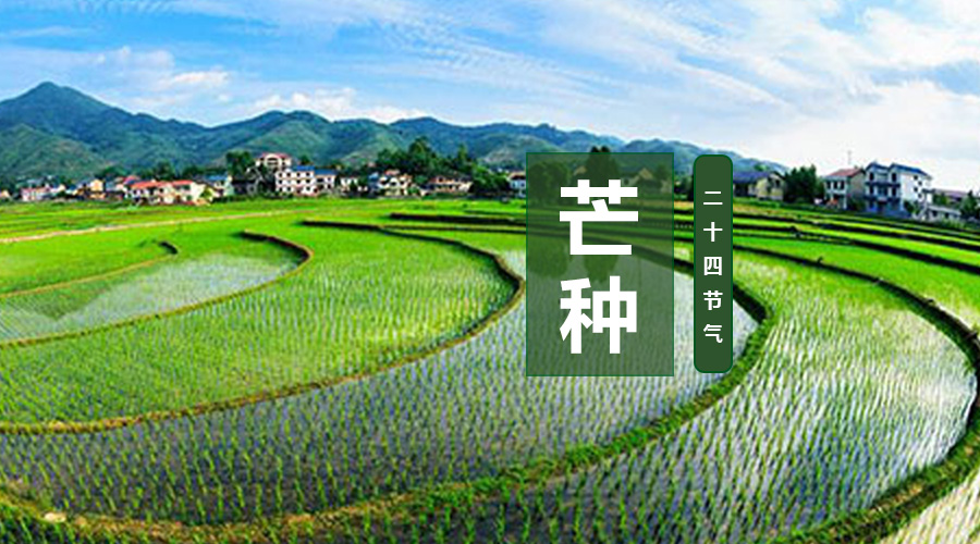 亿万先生mr·(中国区)官方网站