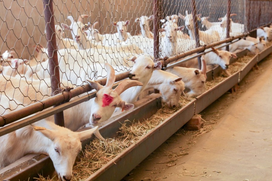 亿万先生mr·(中国区)官方网站