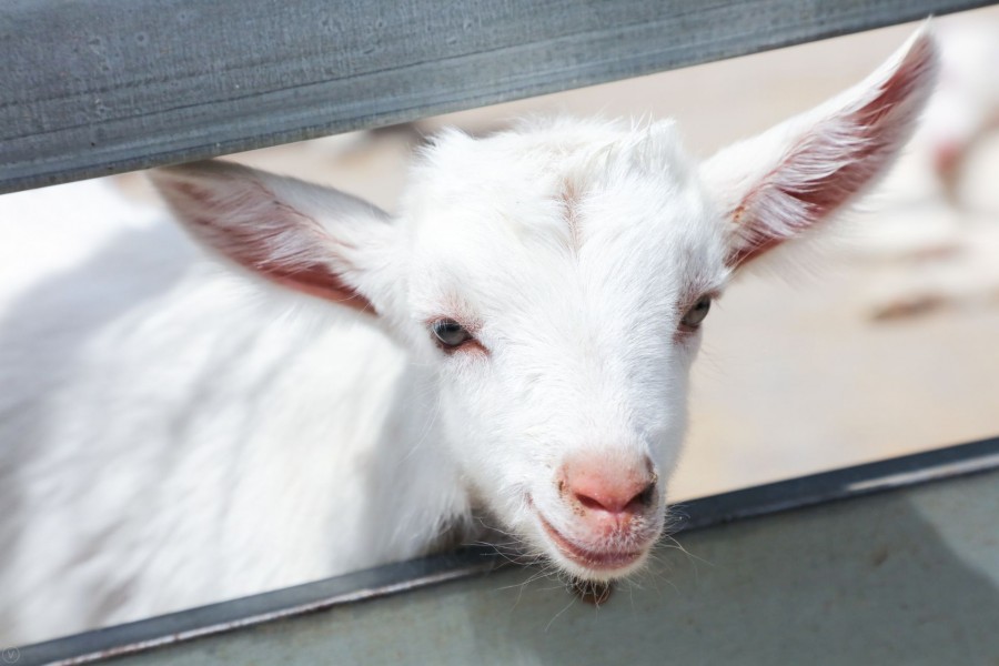 亿万先生mr·(中国区)官方网站