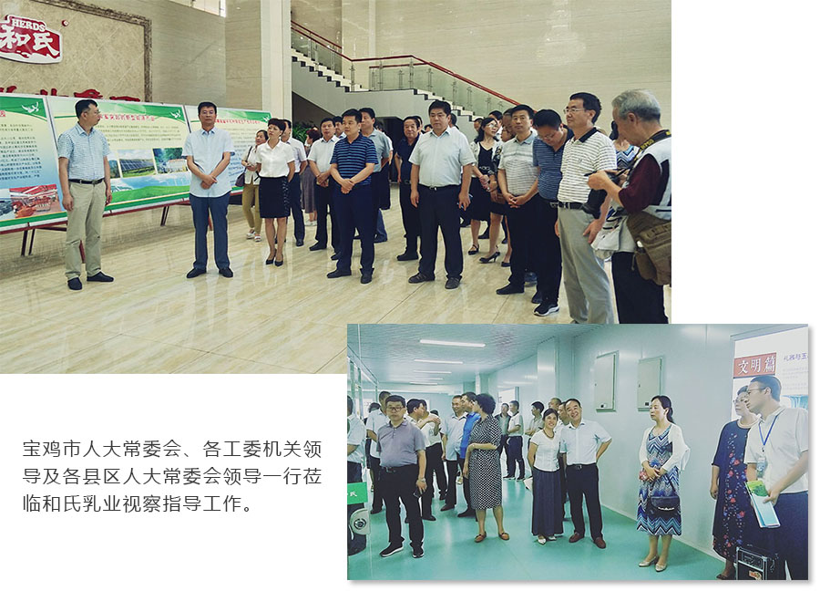 亿万先生mr·(中国区)官方网站