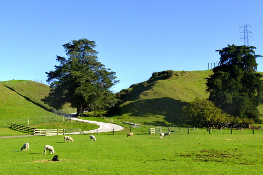 亿万先生mr·(中国区)官方网站