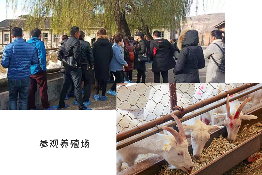 亿万先生mr·(中国区)官方网站