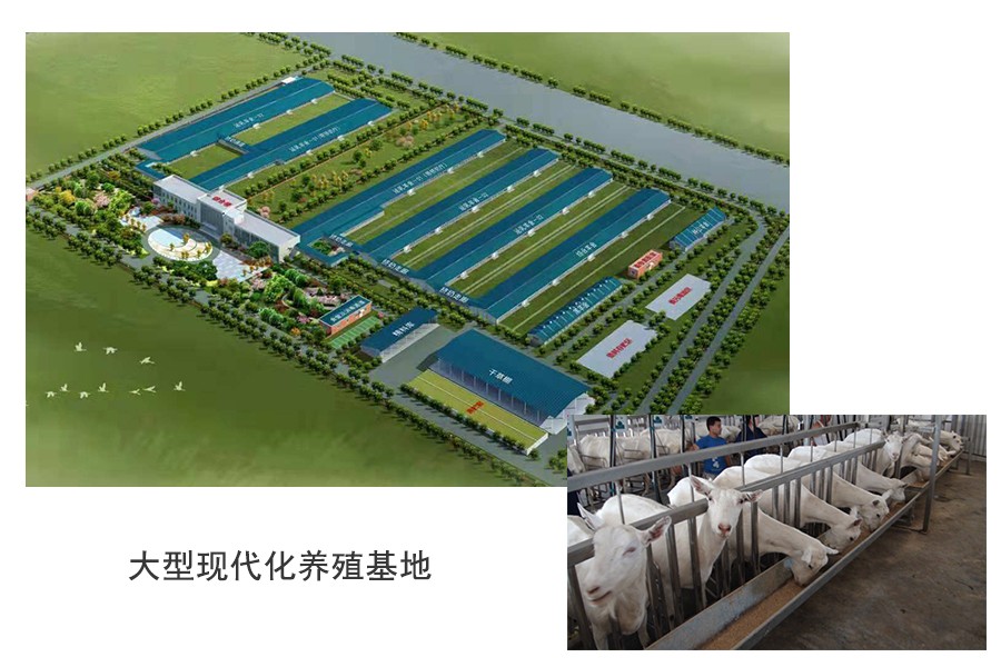 亿万先生mr·(中国区)官方网站