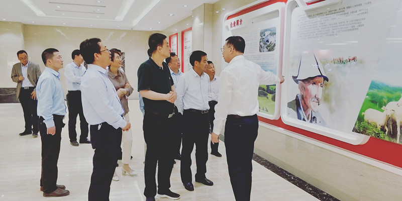 亿万先生mr·(中国区)官方网站