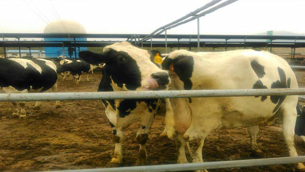 亿万先生mr·(中国区)官方网站