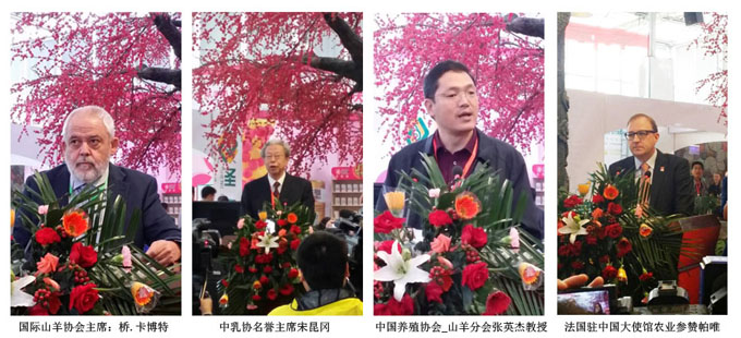 亿万先生mr·(中国区)官方网站