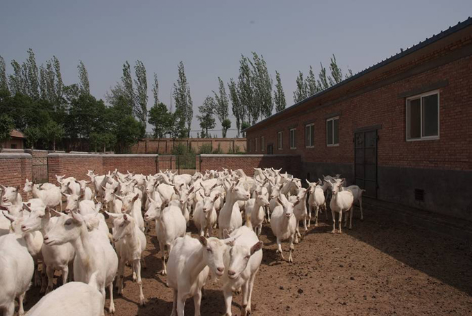 亿万先生mr·(中国区)官方网站