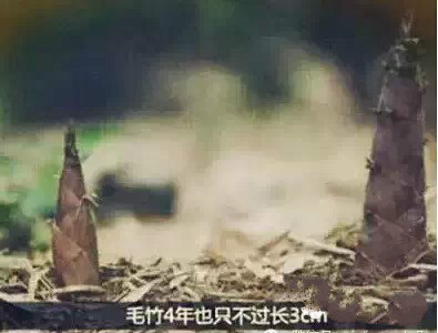 亿万先生mr·(中国区)官方网站