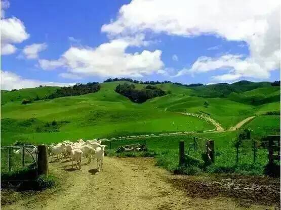 亿万先生mr·(中国区)官方网站