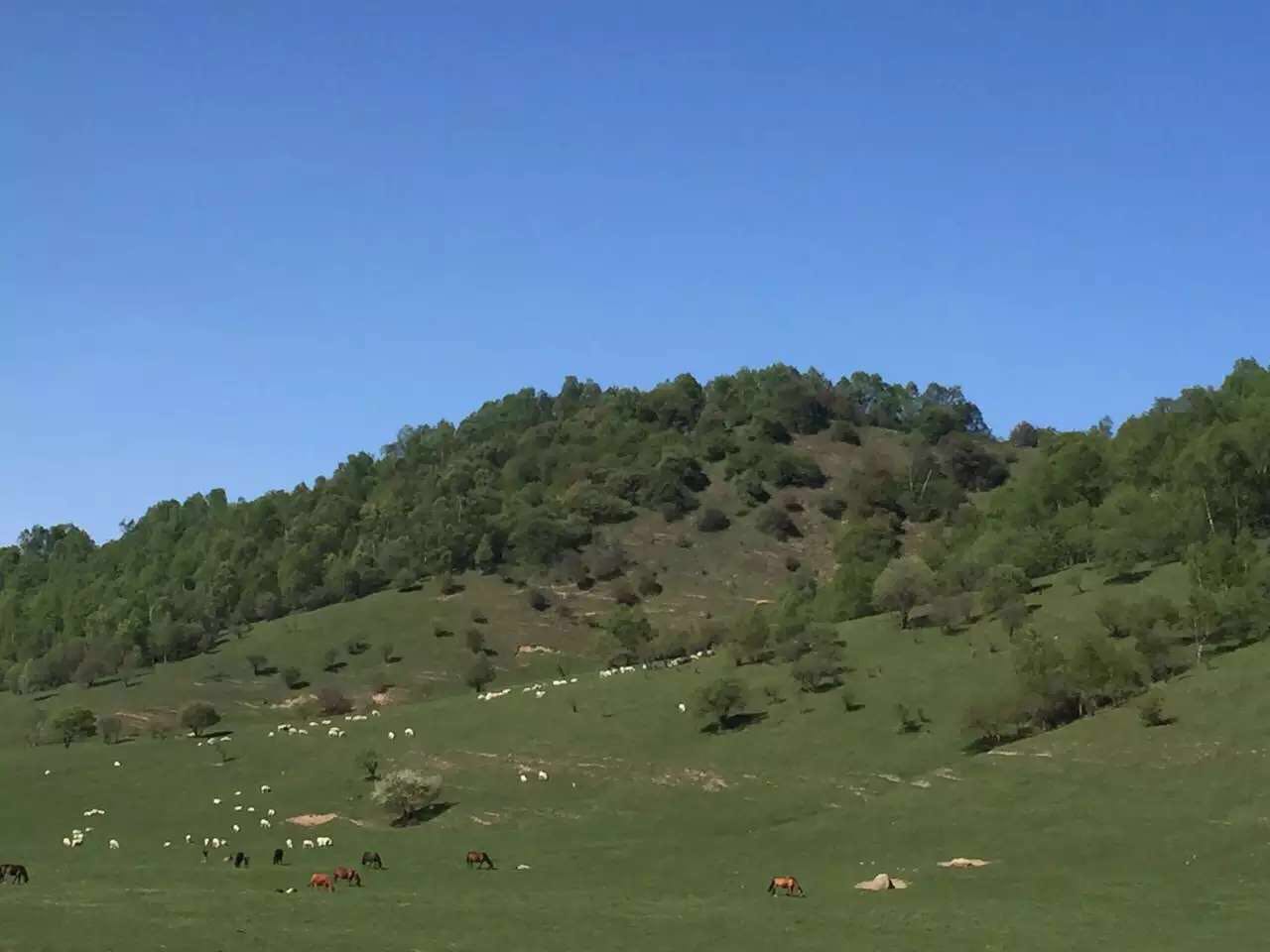 亿万先生mr·(中国区)官方网站