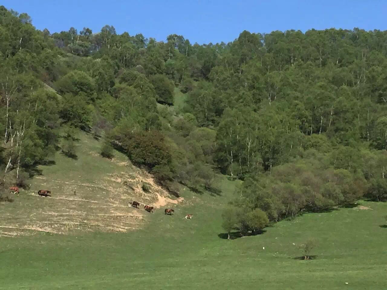 亿万先生mr·(中国区)官方网站