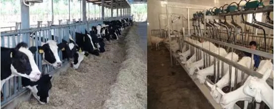 亿万先生mr·(中国区)官方网站