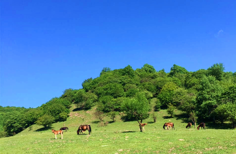 亿万先生mr·(中国区)官方网站