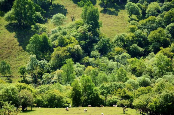 亿万先生mr·(中国区)官方网站