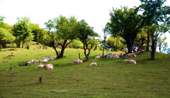 亿万先生mr·(中国区)官方网站