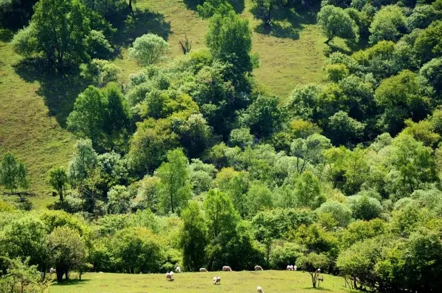 亿万先生mr·(中国区)官方网站