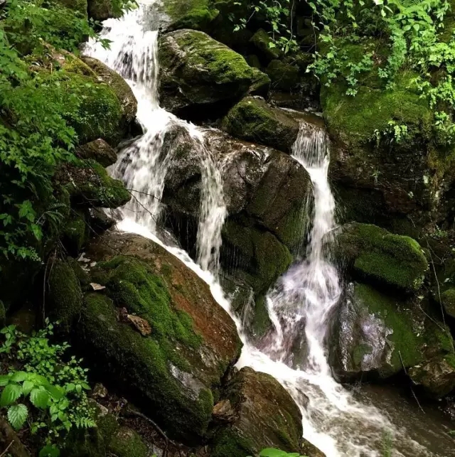 亿万先生mr·(中国区)官方网站