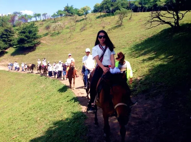 亿万先生mr·(中国区)官方网站