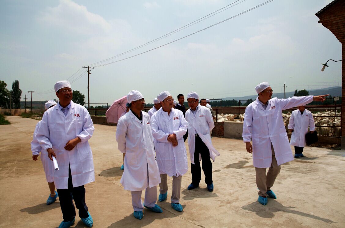 亿万先生mr·(中国区)官方网站