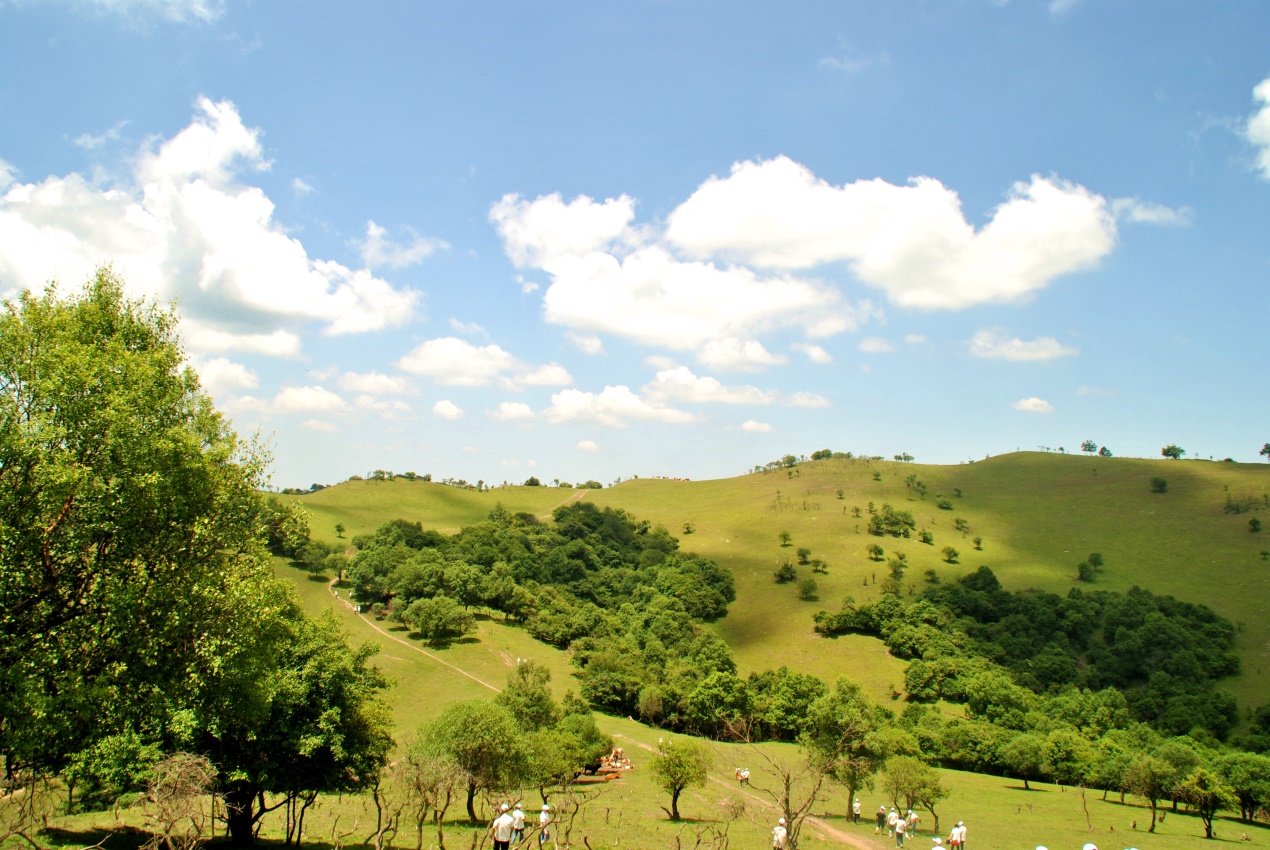 亿万先生mr·(中国区)官方网站