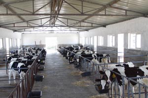 ��������mr��(�й���)�ٷ���վ