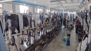 ��������mr��(�й���)�ٷ���վ