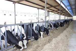 ��������mr��(�й���)�ٷ���վ