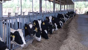 ��������mr��(�й���)�ٷ���վ