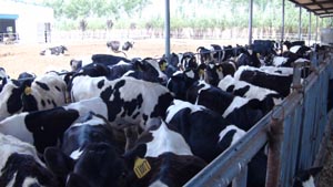 ��������mr��(�й���)�ٷ���վ