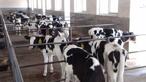 ��������mr��(�й���)�ٷ���վ